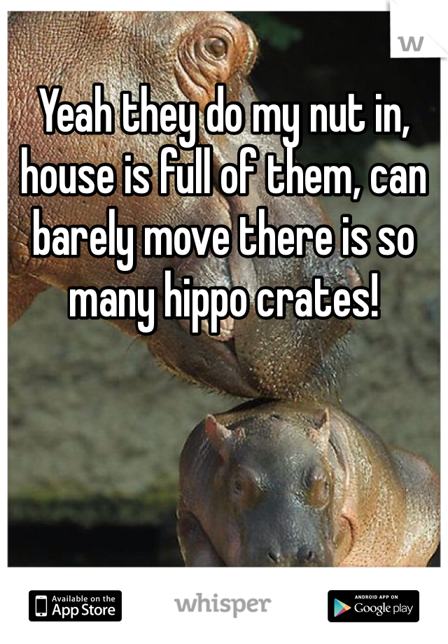 Yeah they do my nut in, house is full of them, can barely move there is so many hippo crates!