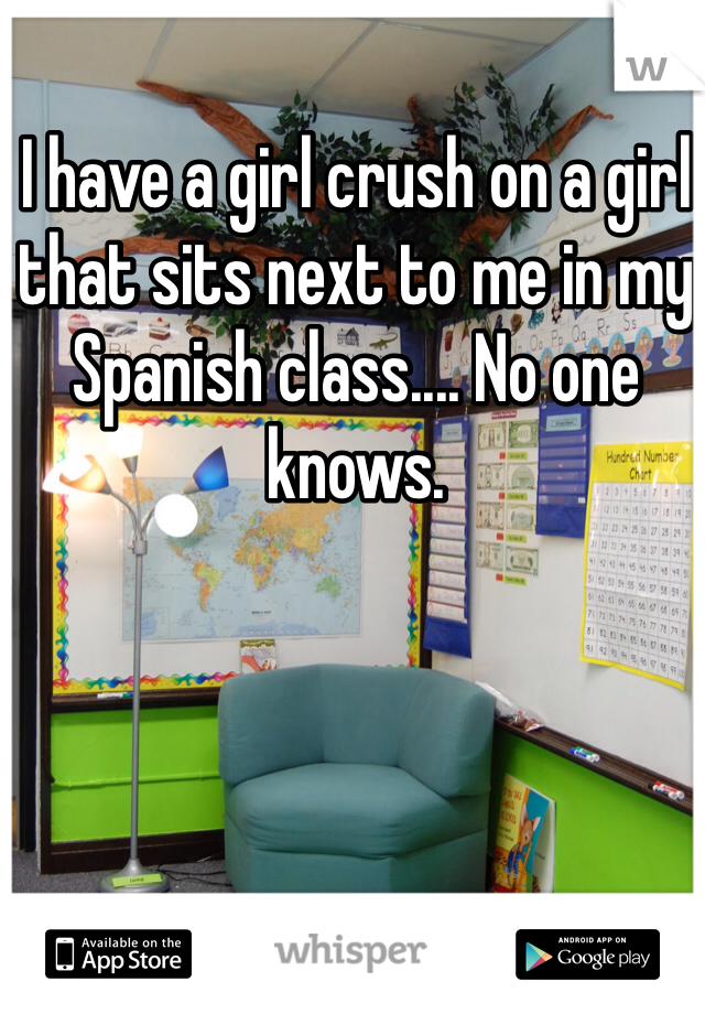 I have a girl crush on a girl that sits next to me in my Spanish class.... No one knows.