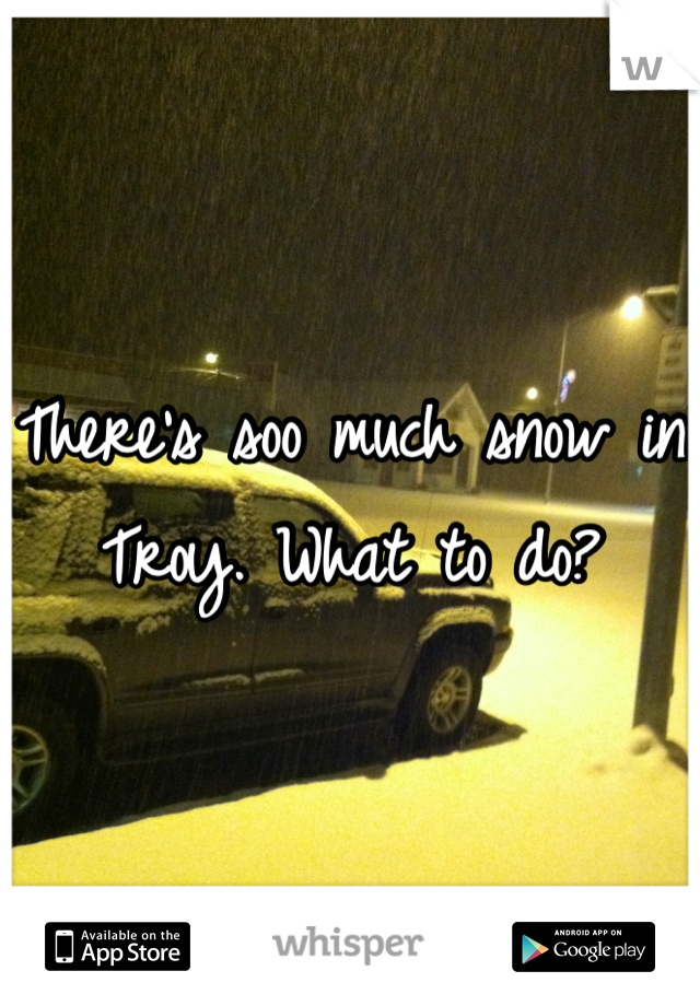 There's soo much snow in Troy. What to do?