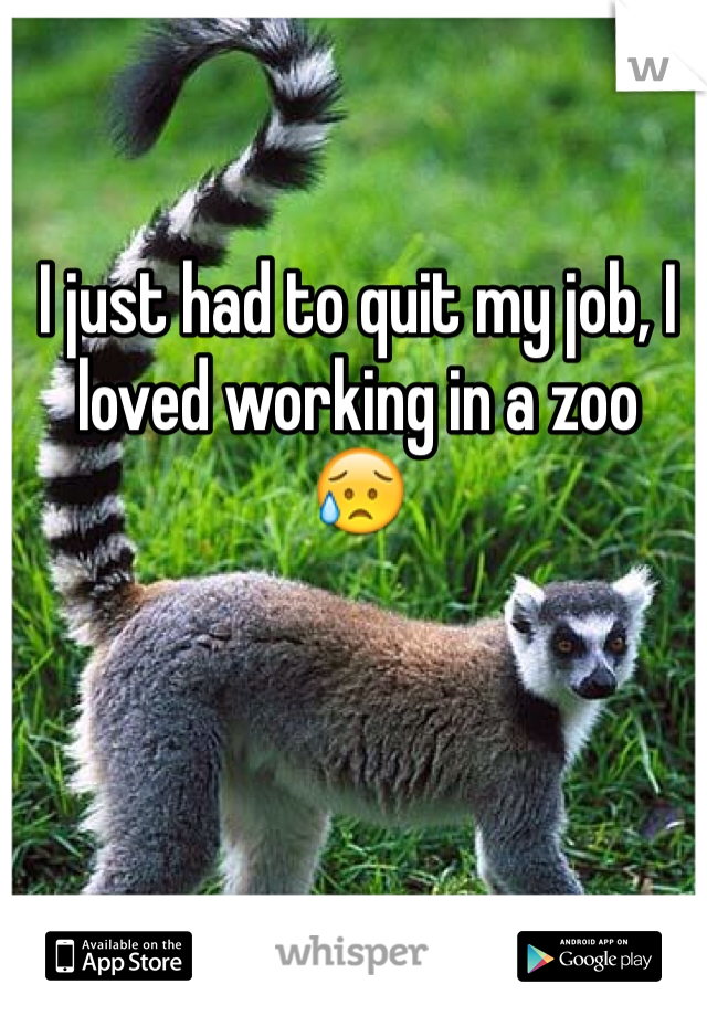 I just had to quit my job, I loved working in a zoo
😥