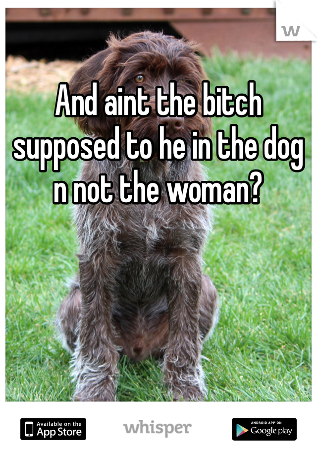And aint the bitch supposed to he in the dog n not the woman?