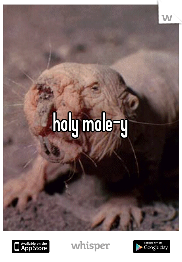 holy mole-y