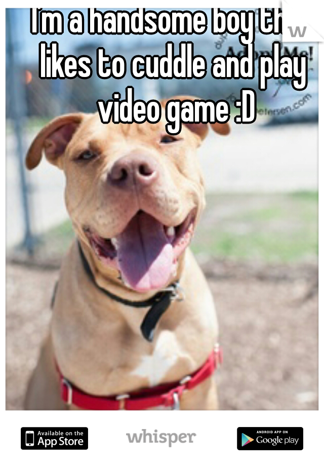 I'm a handsome boy that likes to cuddle and play  video game :D