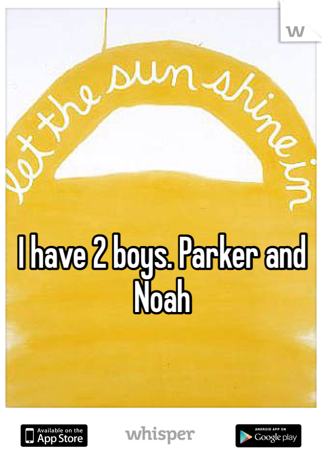 I have 2 boys. Parker and Noah