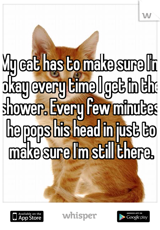My cat has to make sure I'm okay every time I get in the shower. Every few minutes he pops his head in just to make sure I'm still there.  