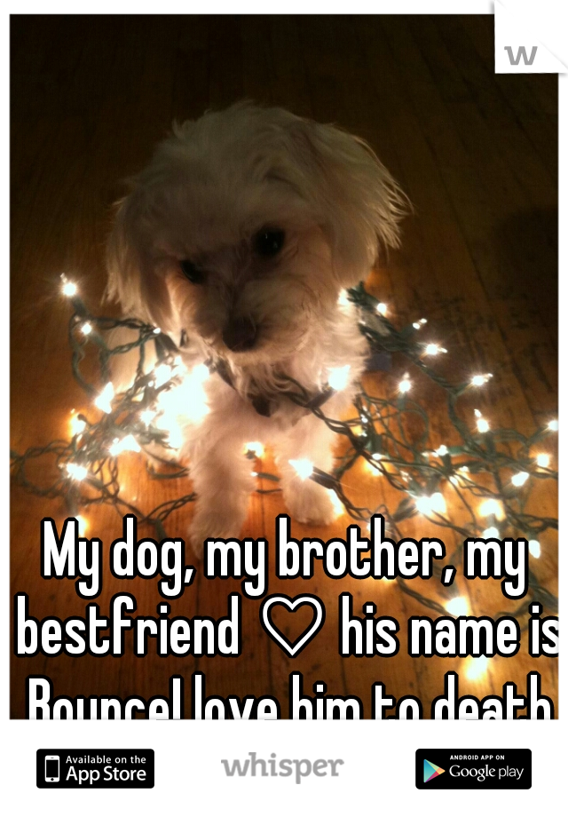 My dog, my brother, my bestfriend ♡ his name is Bounce! love him to death