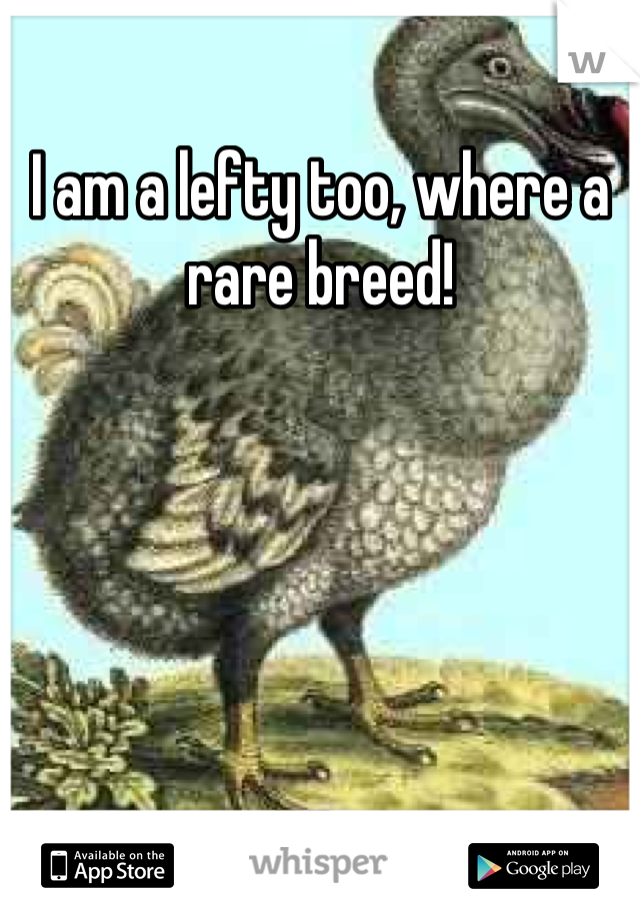 I am a lefty too, where a rare breed!