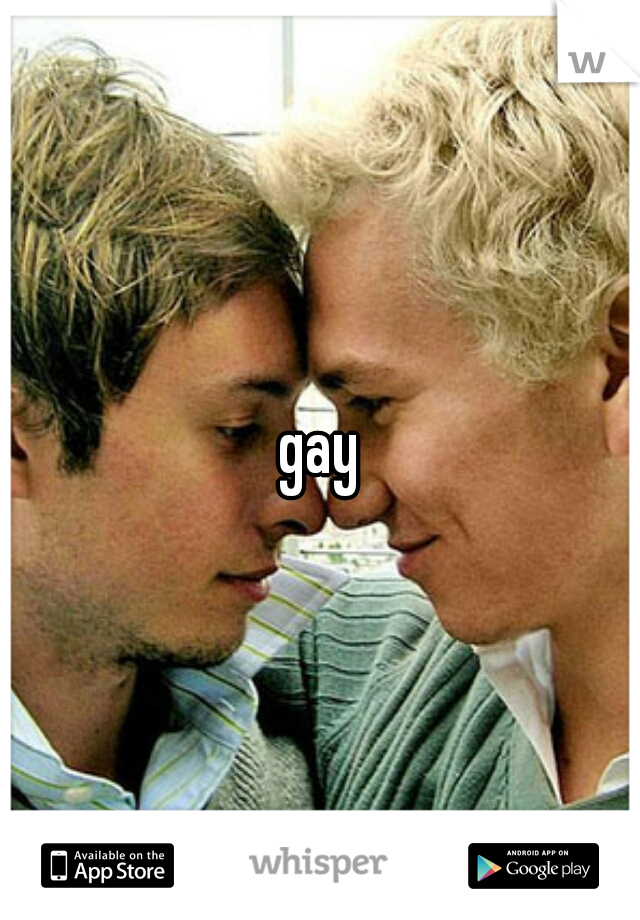 gay
