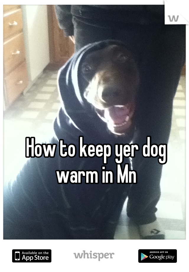 How to keep yer dog warm in Mn