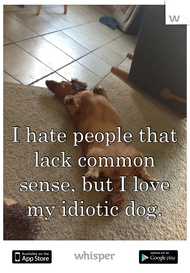 I hate people that lack common sense, but I love my idiotic dog.