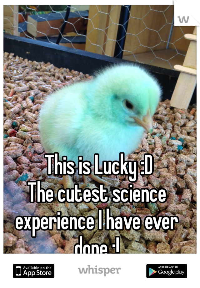  This is Lucky :D 
The cutest science experience I have ever done :!