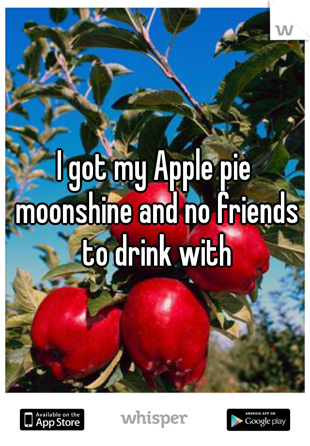 I got my Apple pie moonshine and no friends to drink with