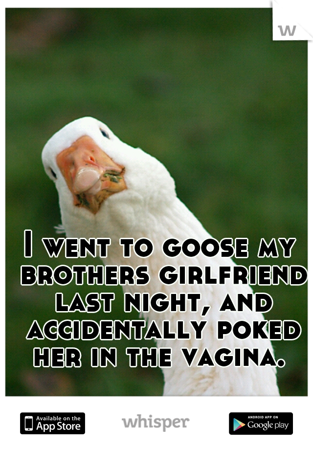 I went to goose my brothers girlfriend last night, and accidentally poked her in the vagina. 