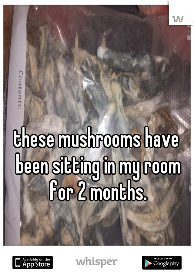 these mushrooms have been sitting in my room for 2 months.

