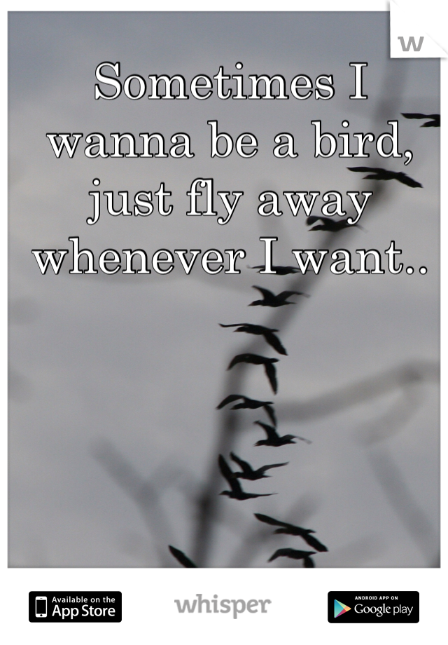 Sometimes I wanna be a bird, just fly away whenever I want.. 