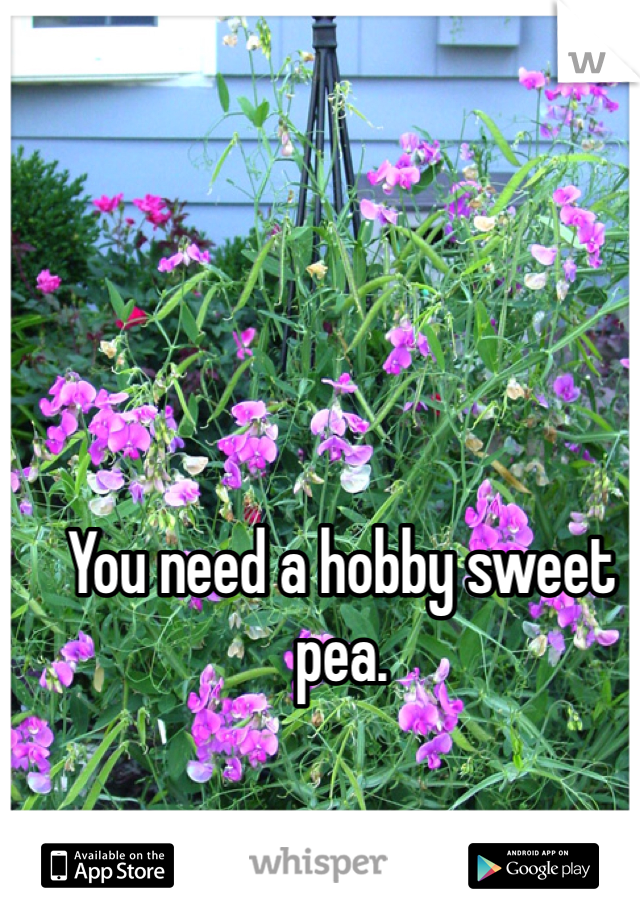 You need a hobby sweet pea.