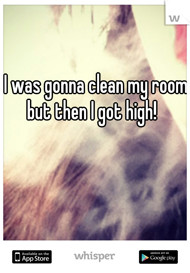 I was gonna clean my room
but then I got high!  