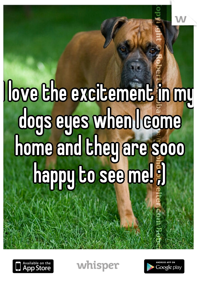 I love the excitement in my dogs eyes when I come home and they are sooo happy to see me! ;)