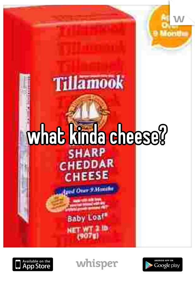 what kinda cheese?