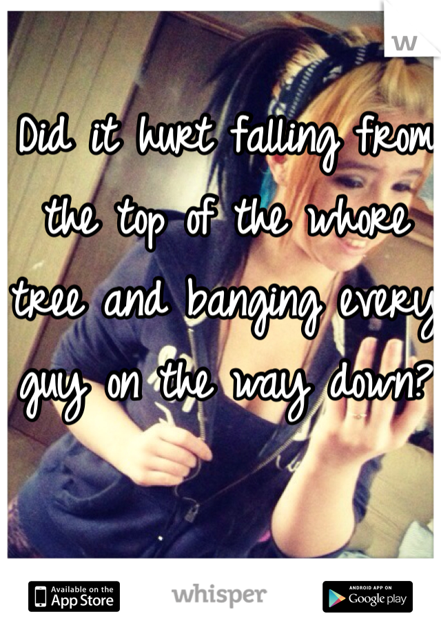 Did it hurt falling from the top of the whore tree and banging every guy on the way down?