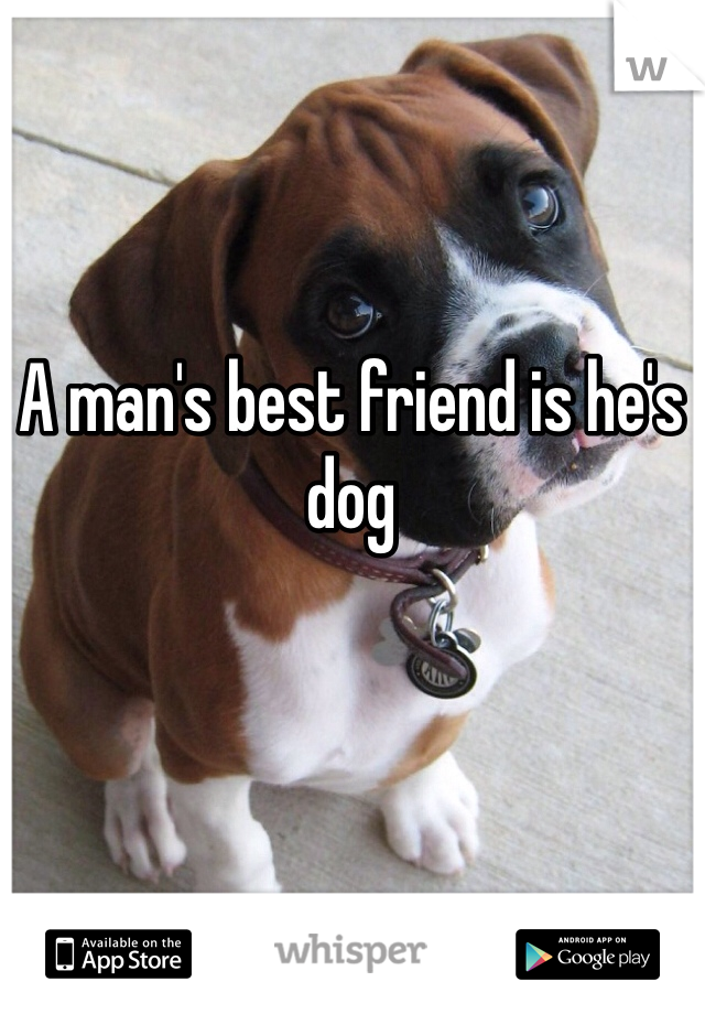 A man's best friend is he's dog 