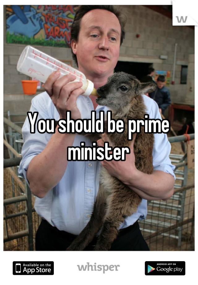 You should be prime minister