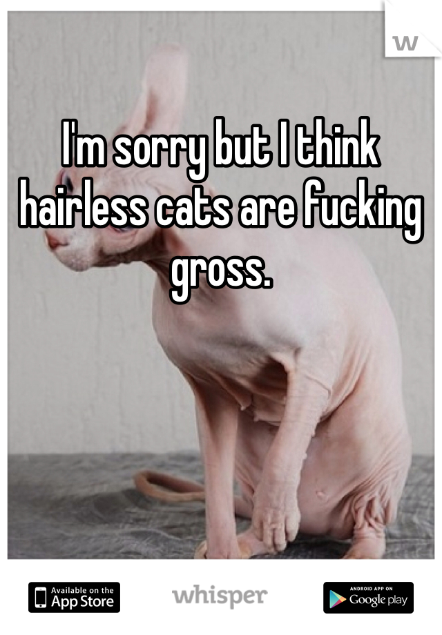 I'm sorry but I think hairless cats are fucking gross. 