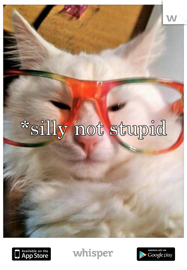 *silly not stupid