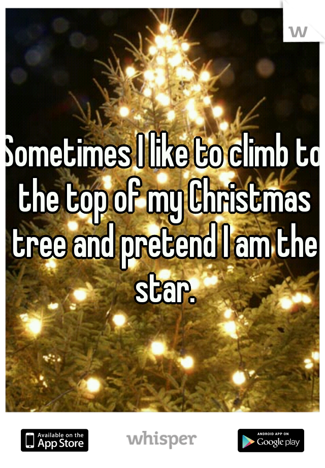 Sometimes I like to climb to the top of my Christmas tree and pretend I am the star.