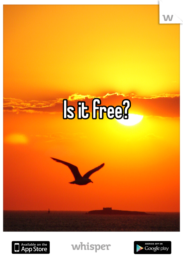 Is it free?
