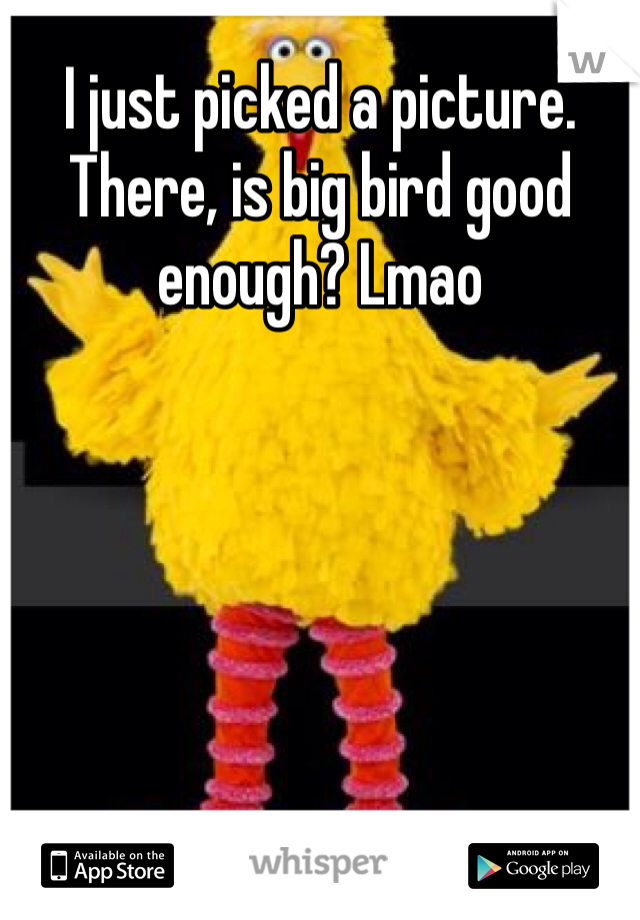 I just picked a picture. 
There, is big bird good enough? Lmao
 