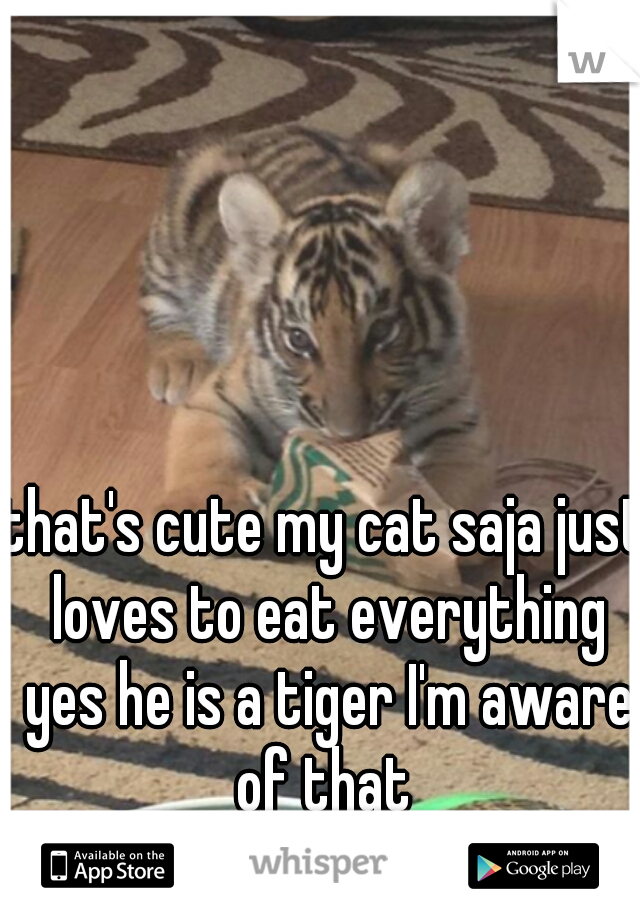 that's cute my cat saja just loves to eat everything yes he is a tiger I'm aware of that 