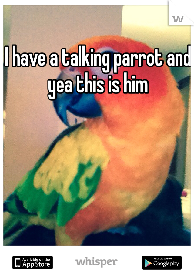 I have a talking parrot and yea this is him