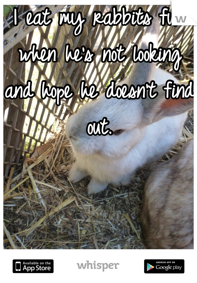 I eat my rabbits fur when he's not looking and hope he doesn't find out.