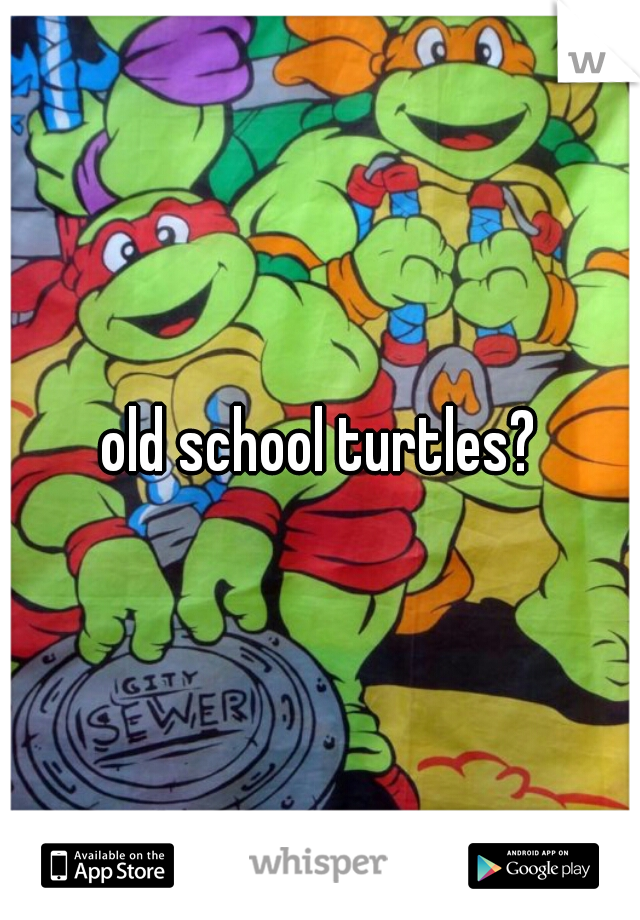 old school turtles?