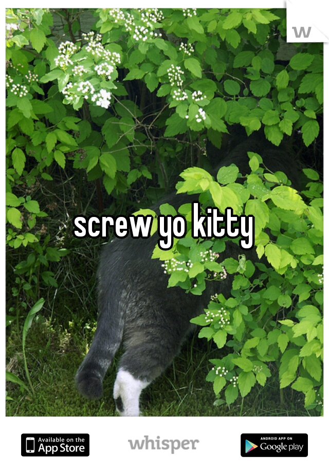 screw yo kitty