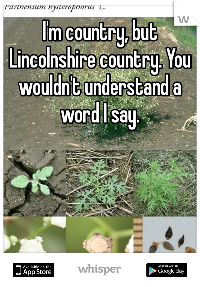 I'm country, but Lincolnshire country. You wouldn't understand a word I say.