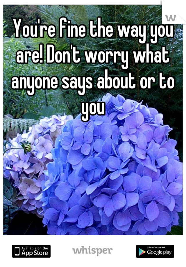 You're fine the way you are! Don't worry what anyone says about or to you