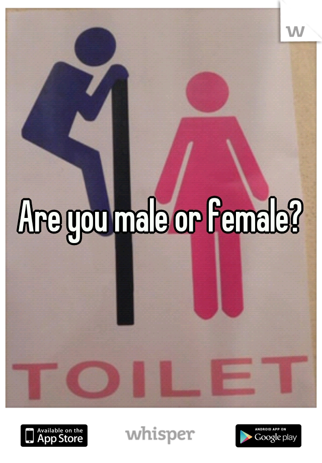 Are you male or female?