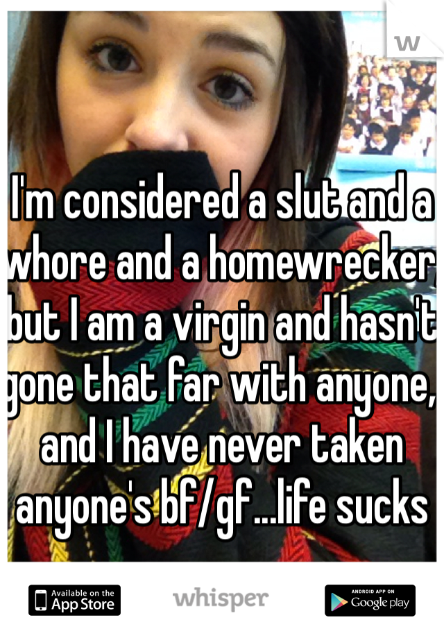 I'm considered a slut and a whore and a homewrecker, but I am a virgin and hasn't gone that far with anyone, and I have never taken anyone's bf/gf...life sucks