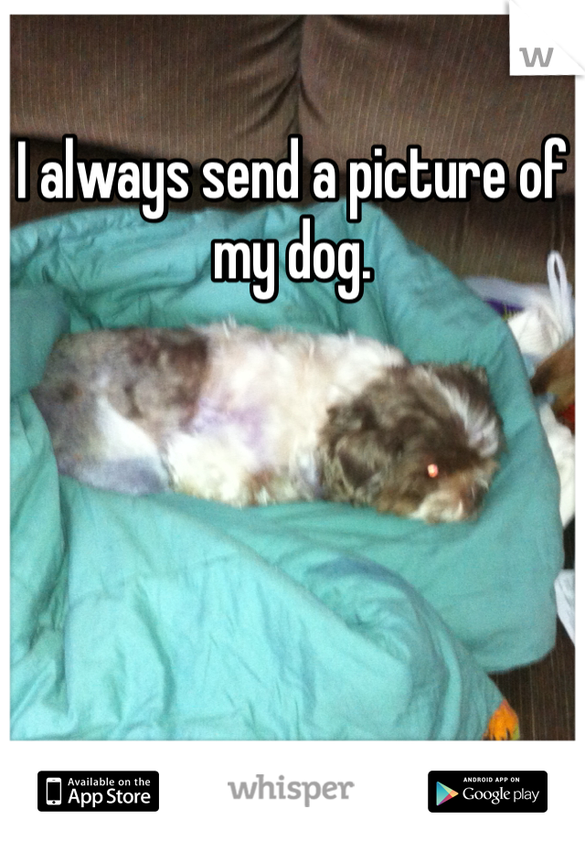 I always send a picture of my dog. 