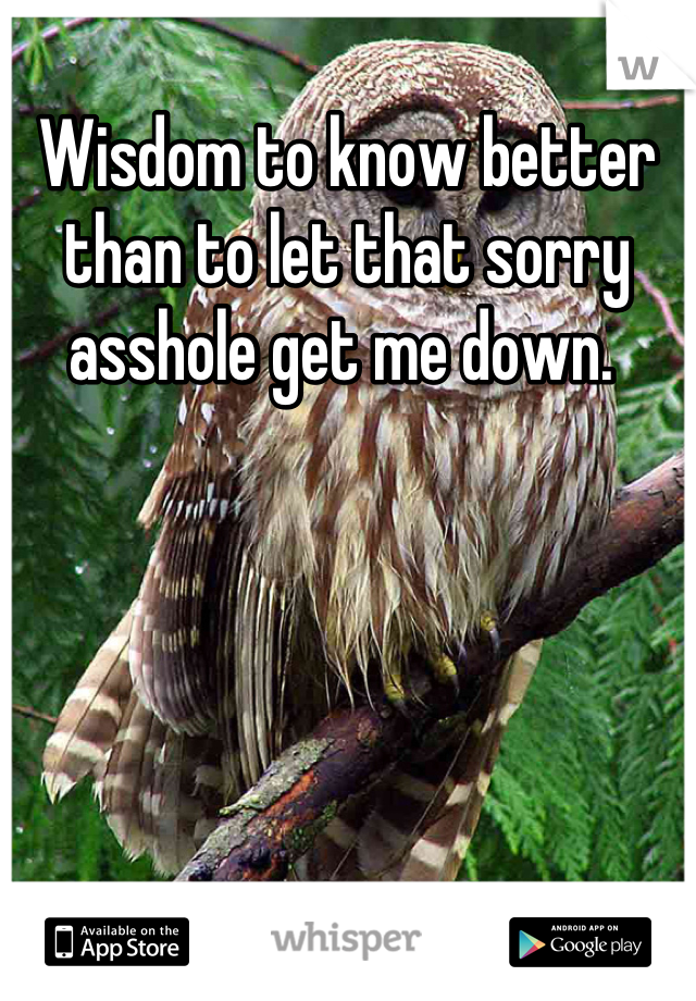 Wisdom to know better than to let that sorry asshole get me down. 