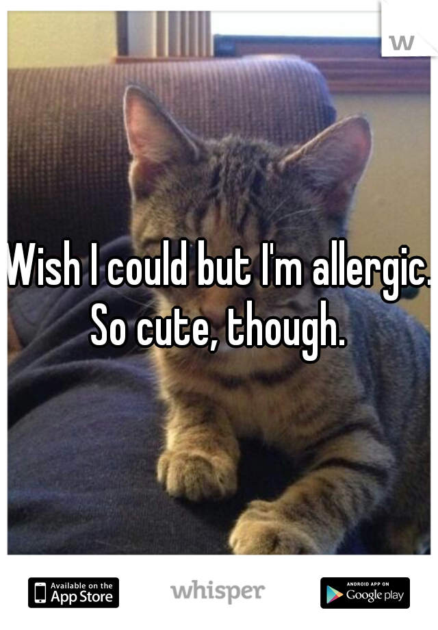 Wish I could but I'm allergic. So cute, though. 