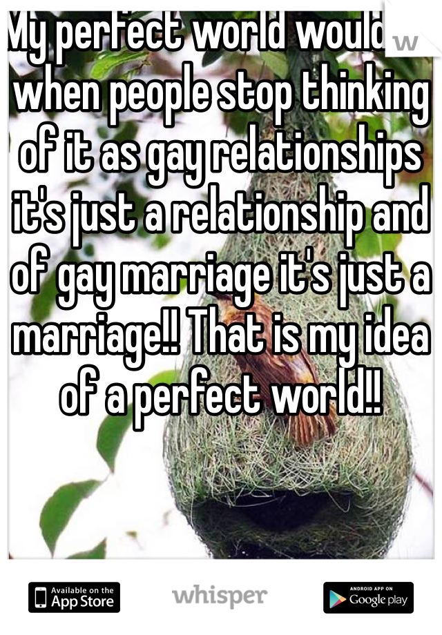My perfect world would be when people stop thinking of it as gay relationships it's just a relationship and of gay marriage it's just a marriage!! That is my idea of a perfect world!!