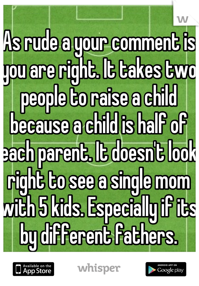 As rude a your comment is you are right. It takes two people to raise a child because a child is half of each parent. It doesn't look right to see a single mom with 5 kids. Especially if its by different fathers.