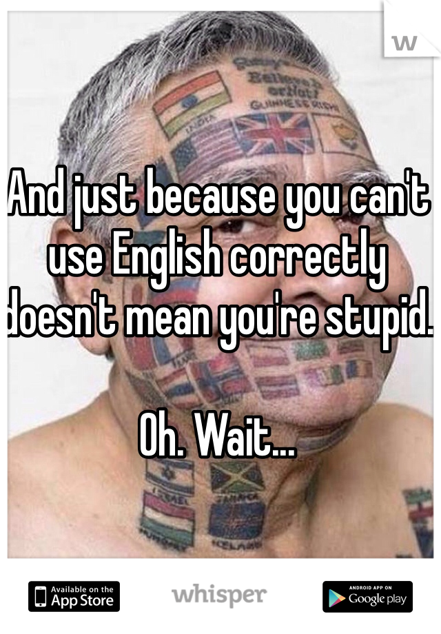And just because you can't use English correctly doesn't mean you're stupid.

Oh. Wait...