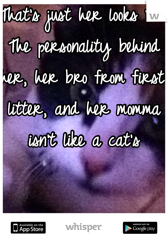 That's just her looks too. The personality behind her, her bro from first litter, and her momma isn't like a cat's