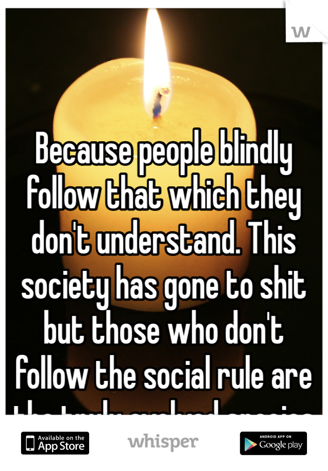 Because people blindly follow that which they don't understand. This society has gone to shit but those who don't follow the social rule are the truly evolved species