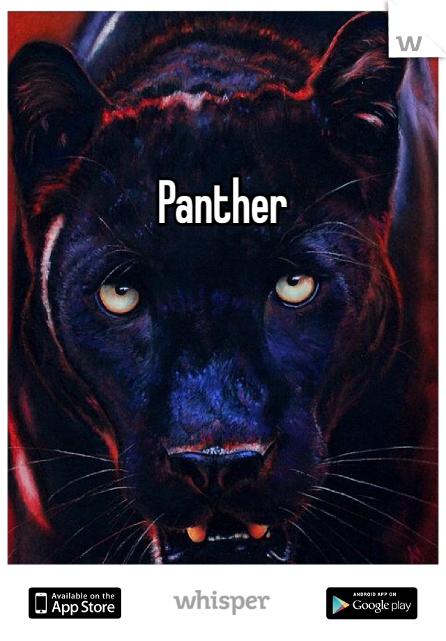 Panther
