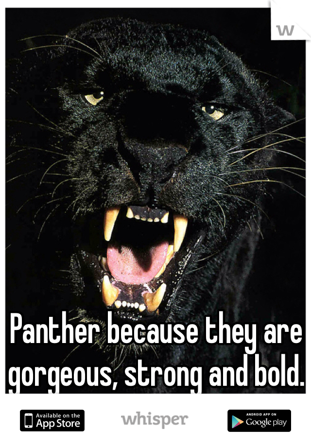Panther because they are gorgeous, strong and bold.
 